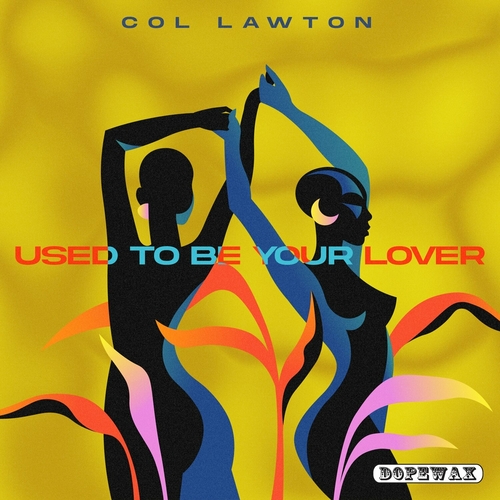 Col Lawton - Used To Be Your Lover [DW287]